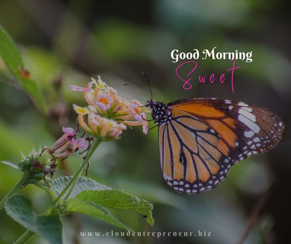 good morning love images