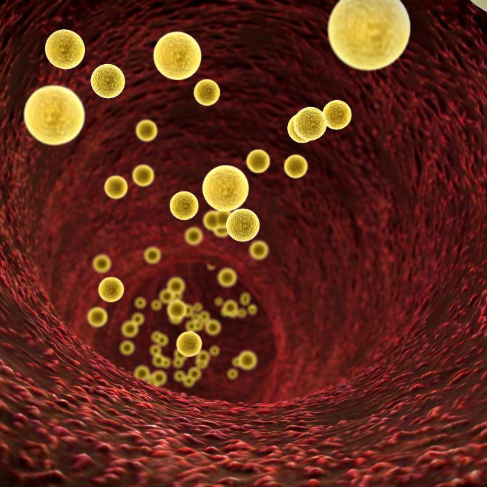 medical benefits of drinking beer