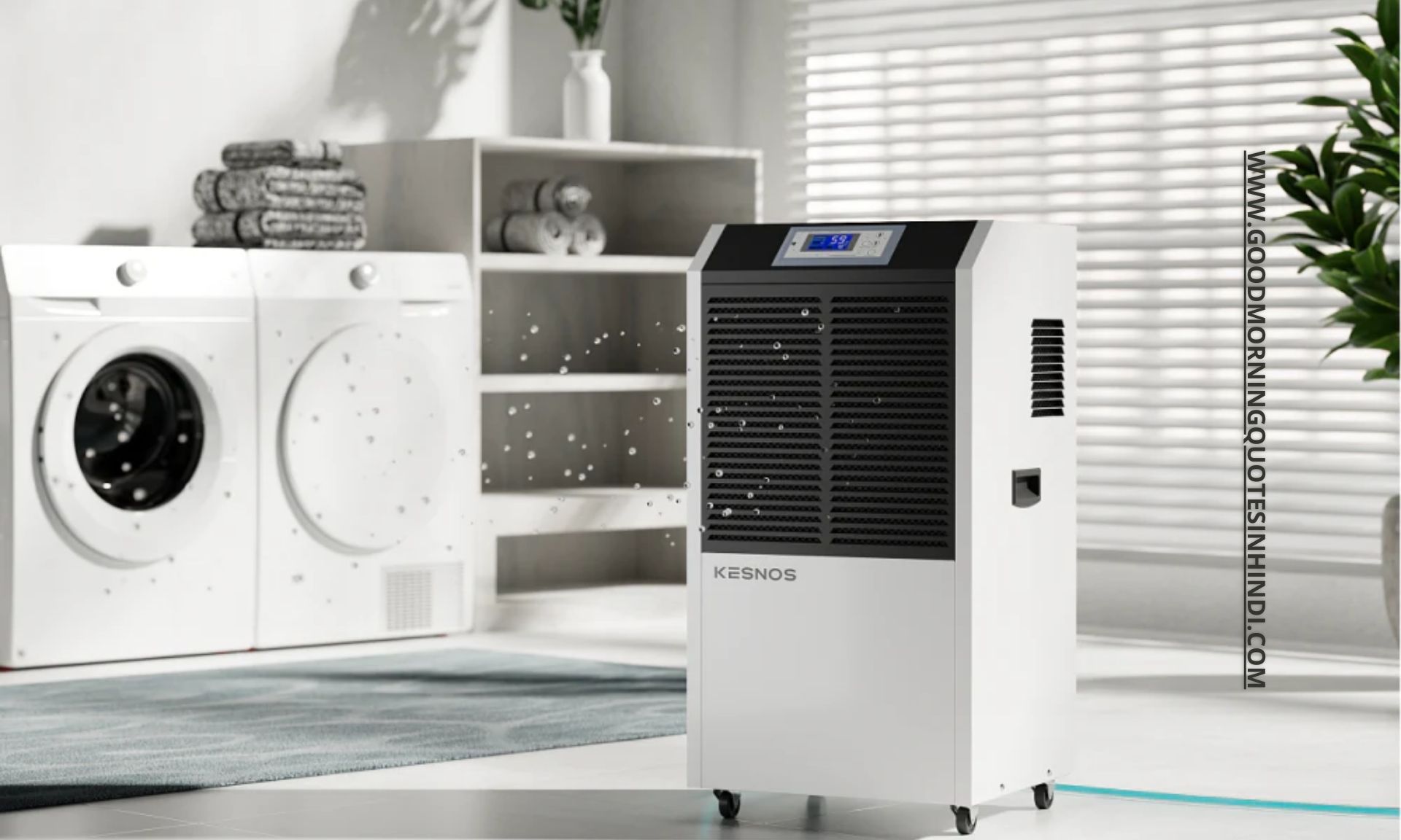 Kesnos Dehumidifier