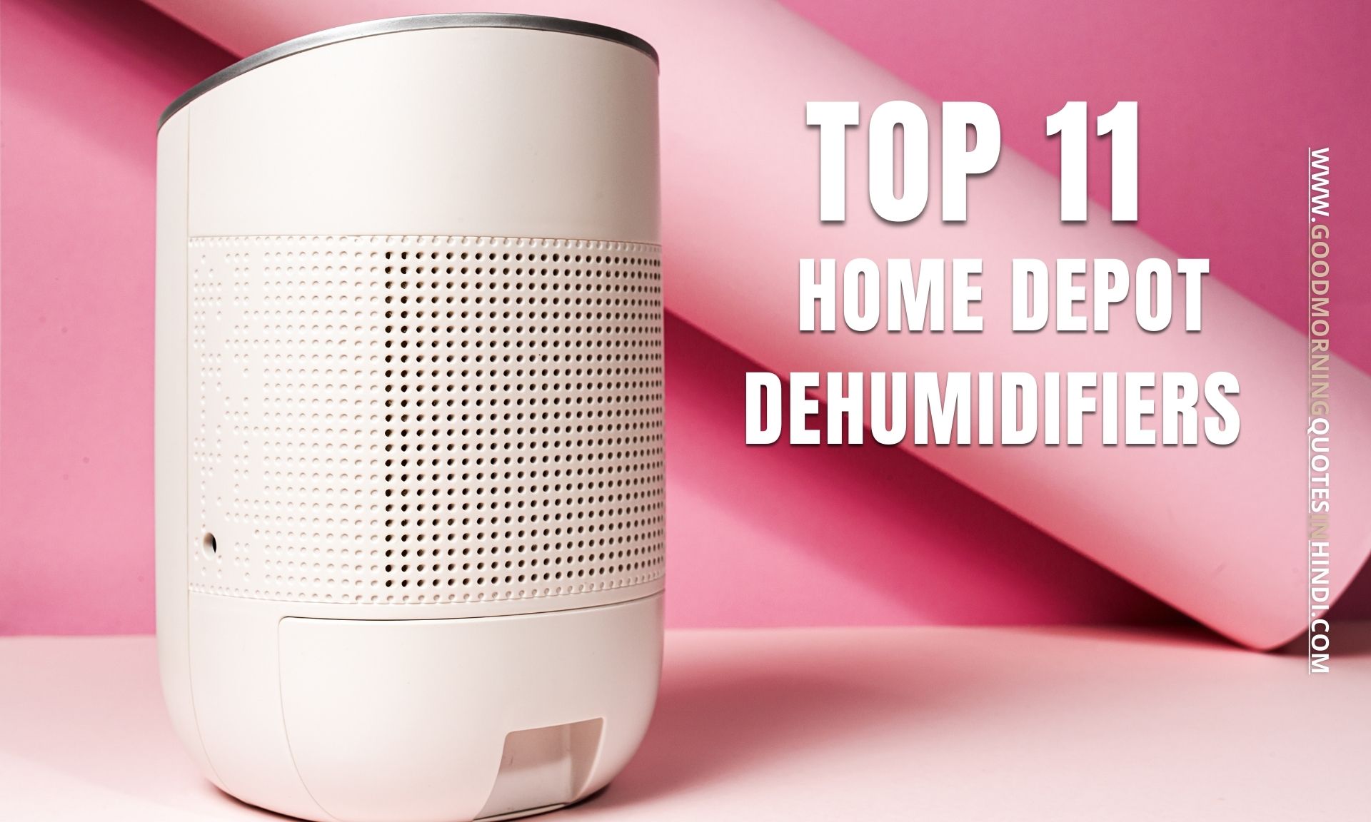 dehumidifier home depot