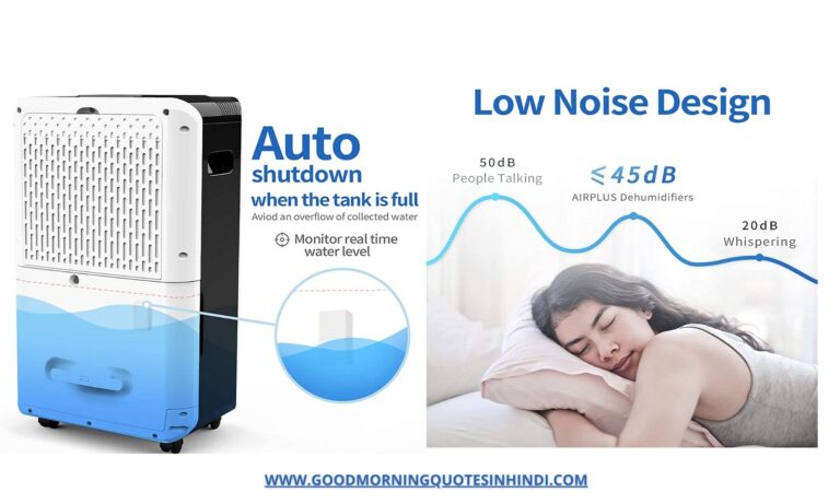Airplus Dehumidifier | Best Review