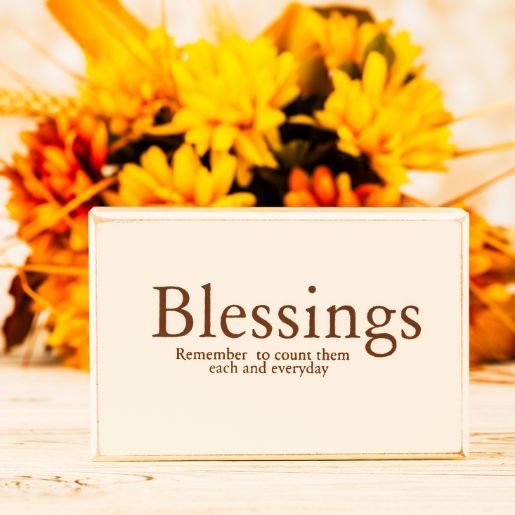 Blessings in Backpacks Food Kids