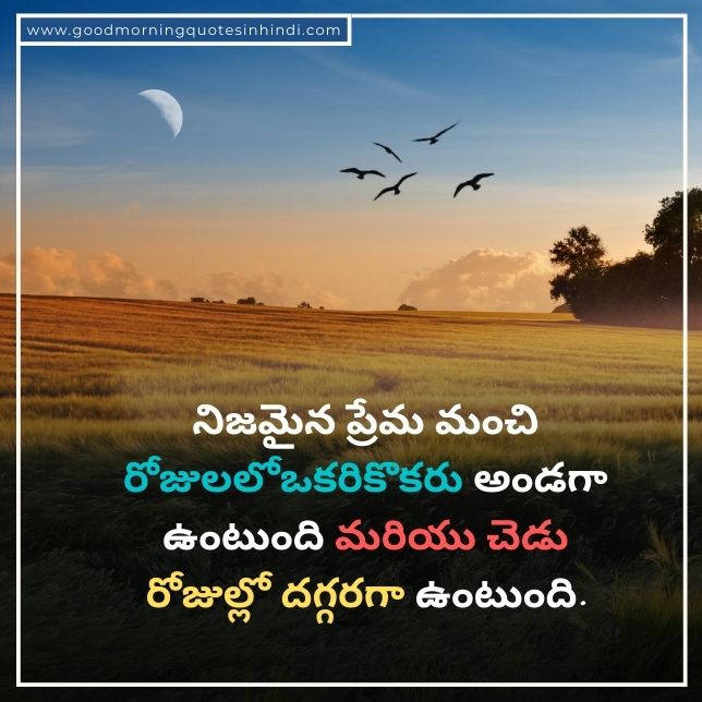 Marriage Life Quotations In Telugu