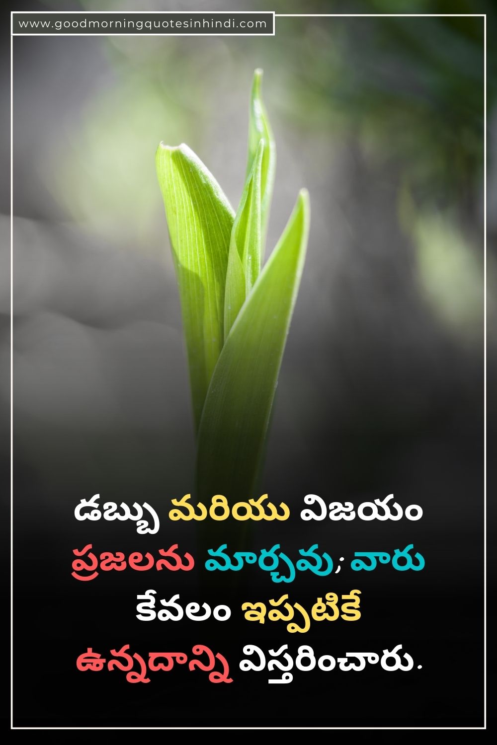 Telugu Quotes for Life