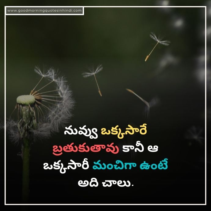 Telugu Quotes on Life