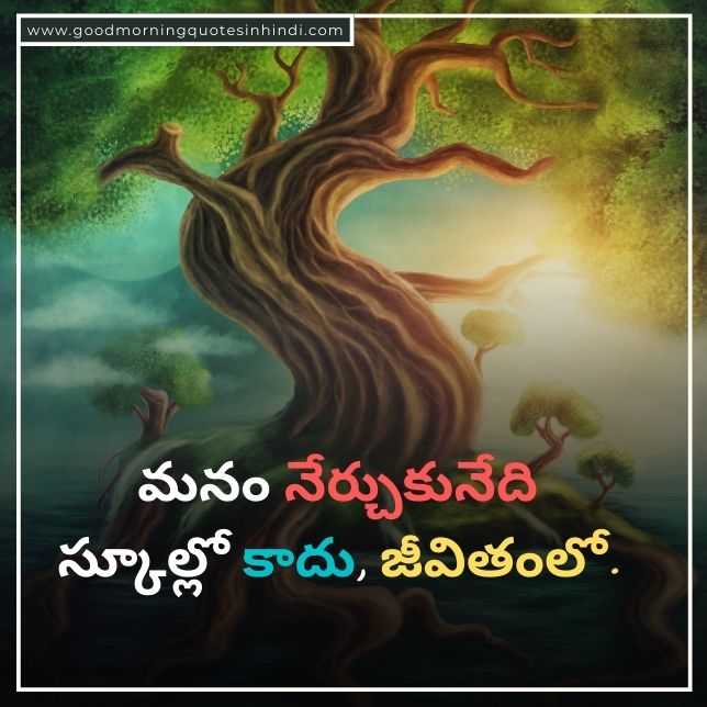 Telugu Proverbs On Life