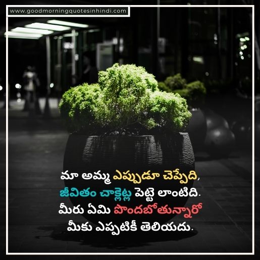 Quotations About Life In Telugu