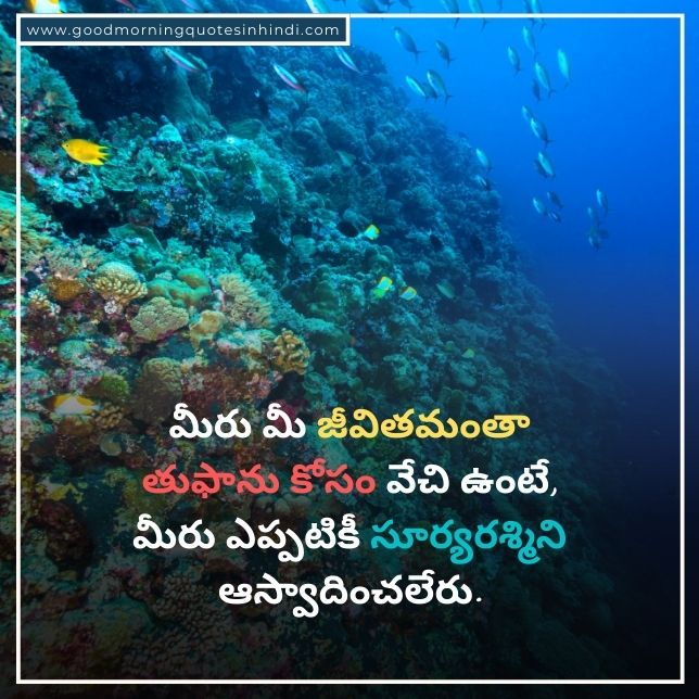 Telugu Quotes On Life In Telugu Language Text