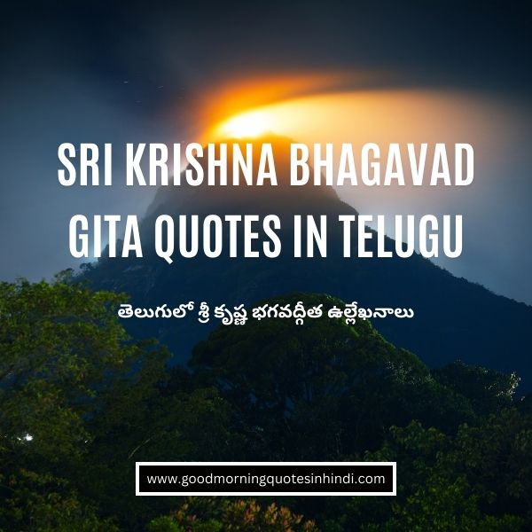 Sri Krishna Bhagavad Gita Quotes in Telugu - Divine Wisdom for Spiritual Enlightenment Sri Krishna Bhagavad Gita Quotes in Telugu