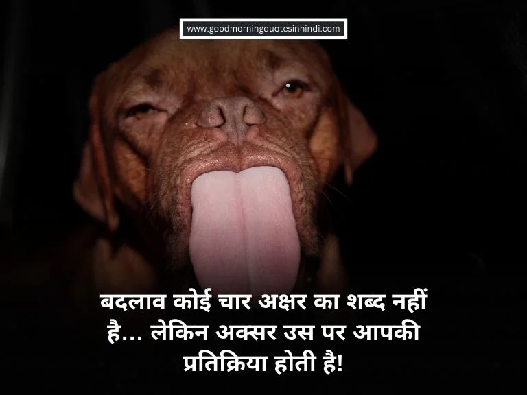 Funny Motivational Quotes in Hindi