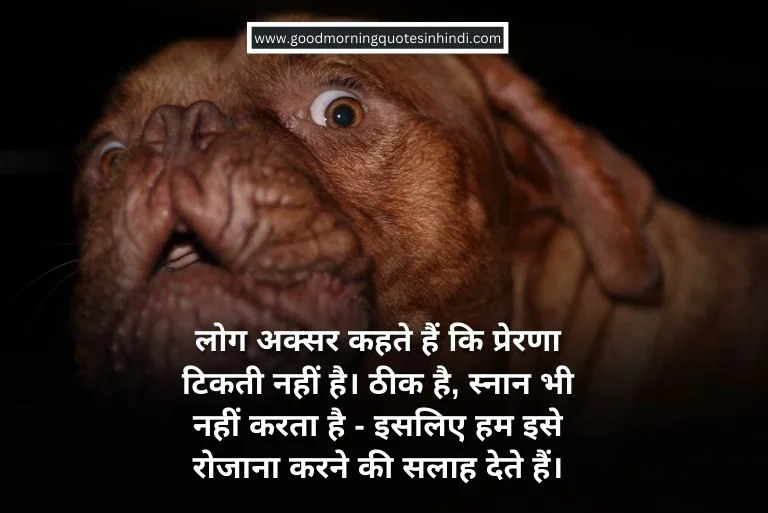 Funny Motivational Quotes Hindi