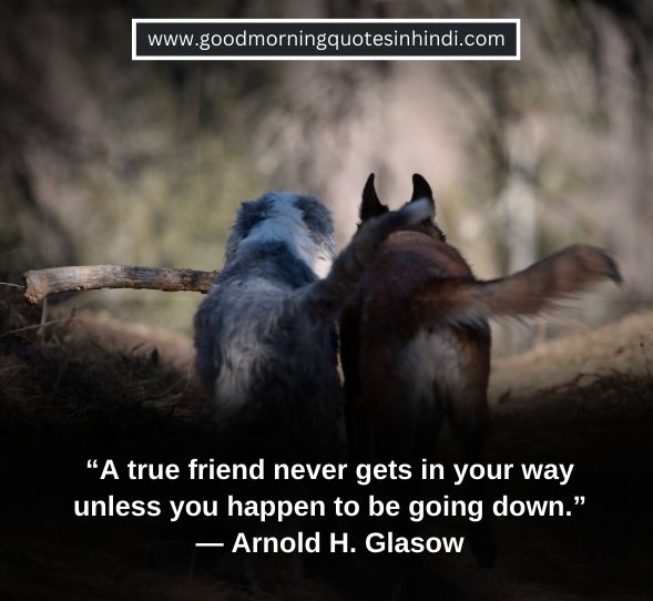 Enemies Disguised as Friends Quotes Enemies Disguised as Friends Quotes