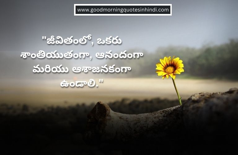Positive Attitude Quotes in Telugu Positive Attitude Quotes in Telugu