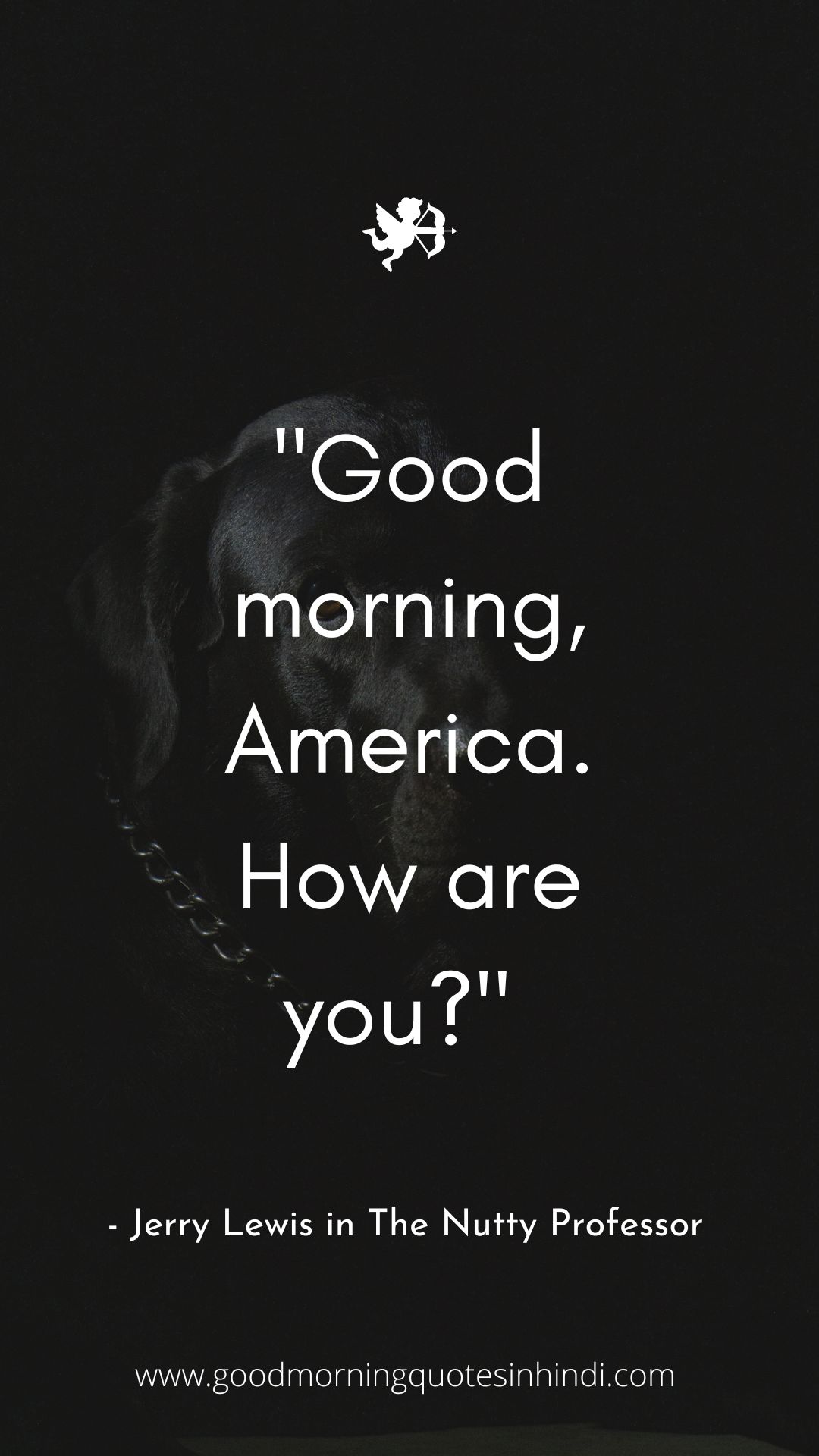 Funny Black Good Morning Quotes Funny Black Good Morning Quotes