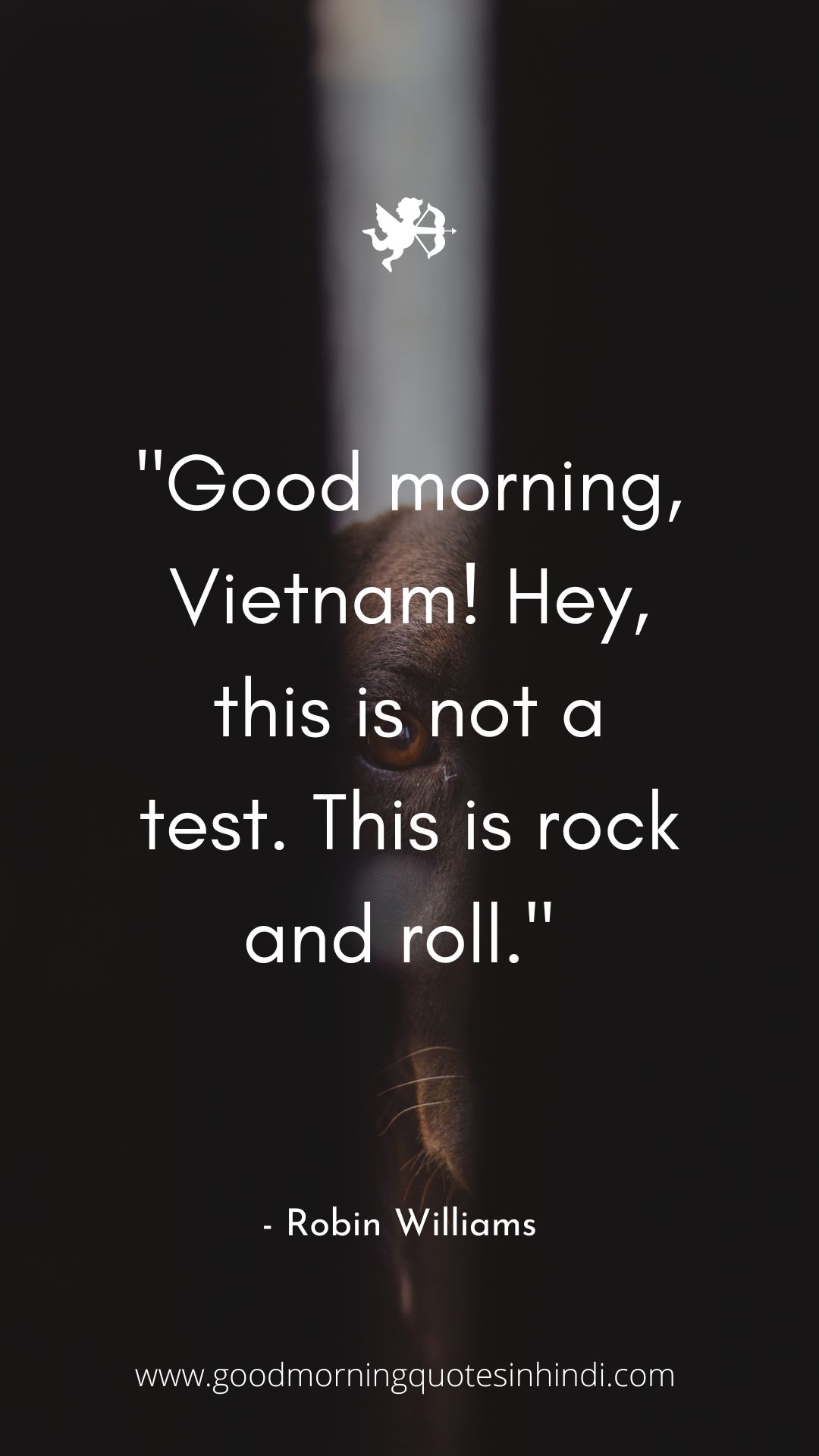 Funny Black Good Morning Quotes Funny Black Good Morning Quotes