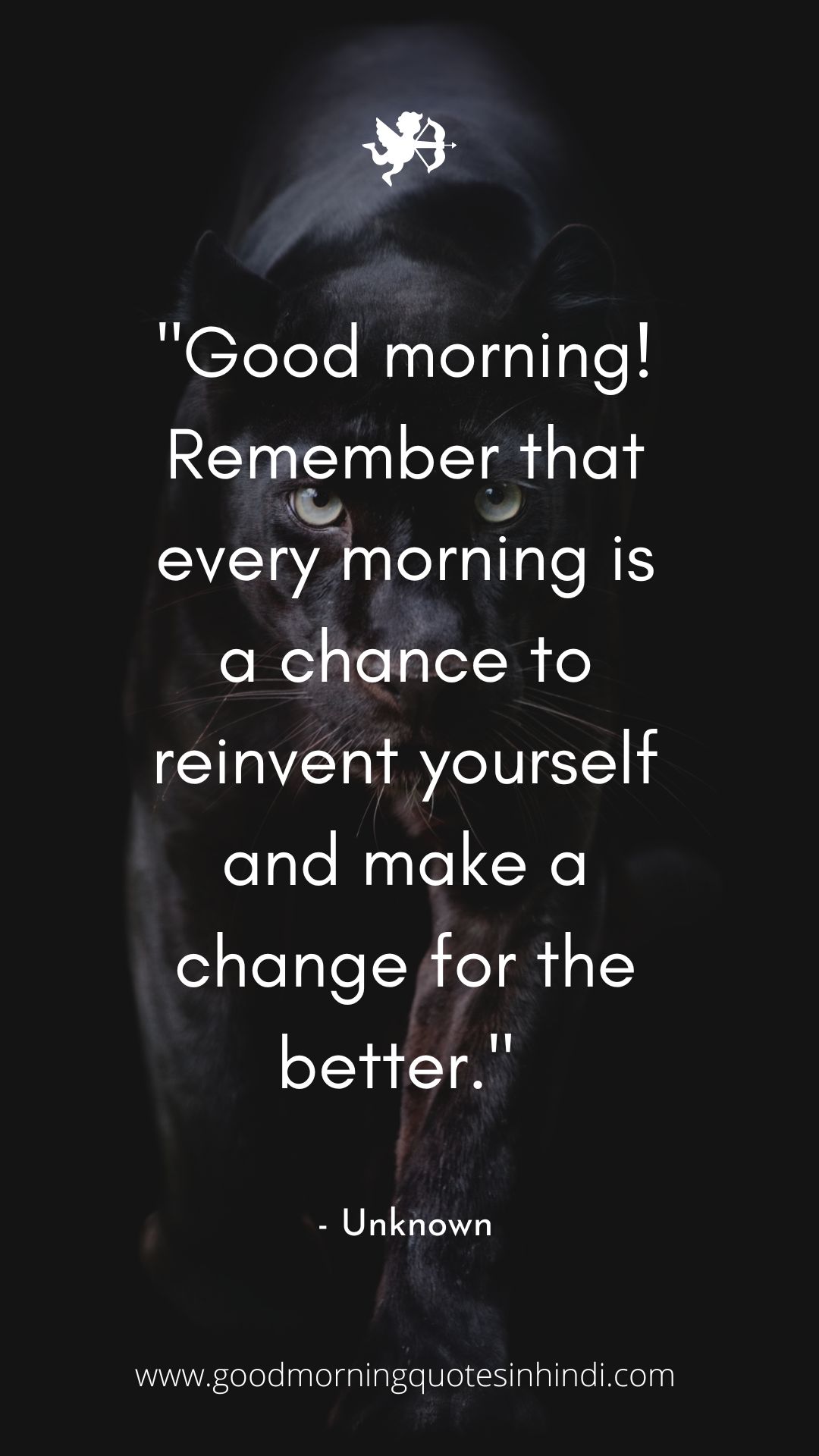 Funny Black Good Morning Quotes Funny Black Good Morning Quotes