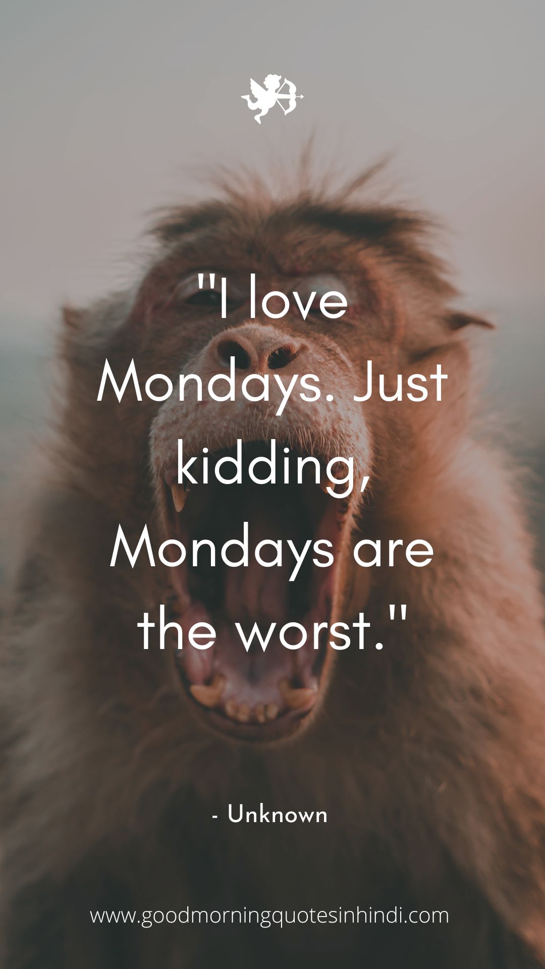 Good morning Monday blessings images and quotes Good morning Monday blessings images and quotes