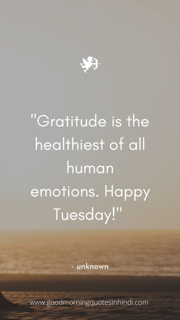 40 Good Morning Tuesday Quotes and Images To Motivate Your Day 40 Good Morning Tuesday Quotes and Images To Motivate Your Day