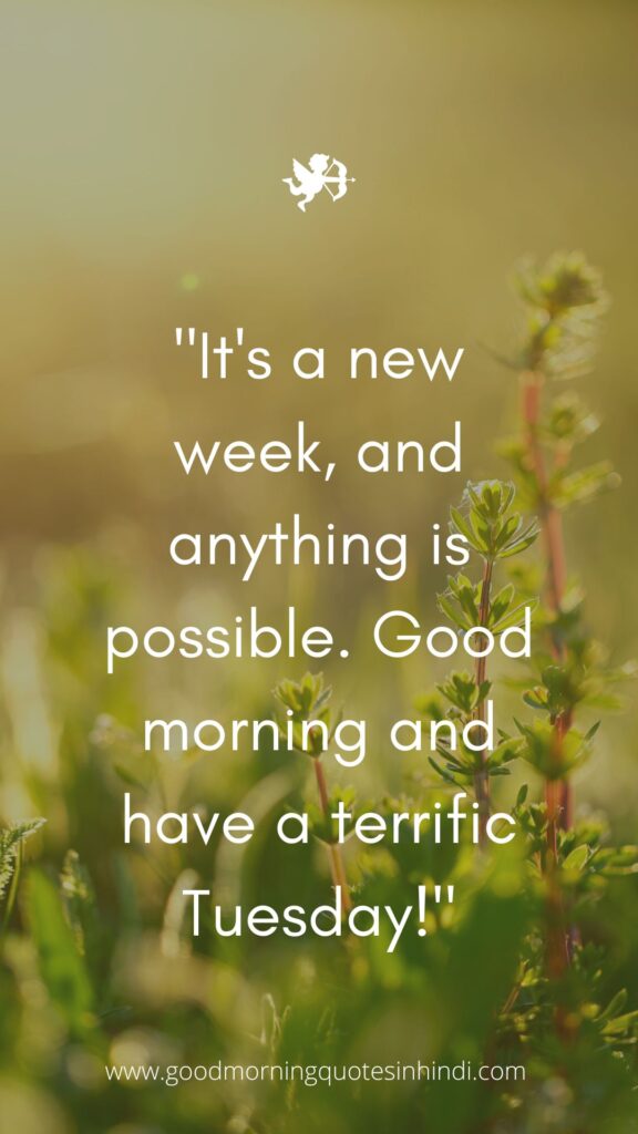 40 Good Morning Tuesday Quotes and Images To Motivate Your Day 40 Good Morning Tuesday Quotes and Images To Motivate Your Day