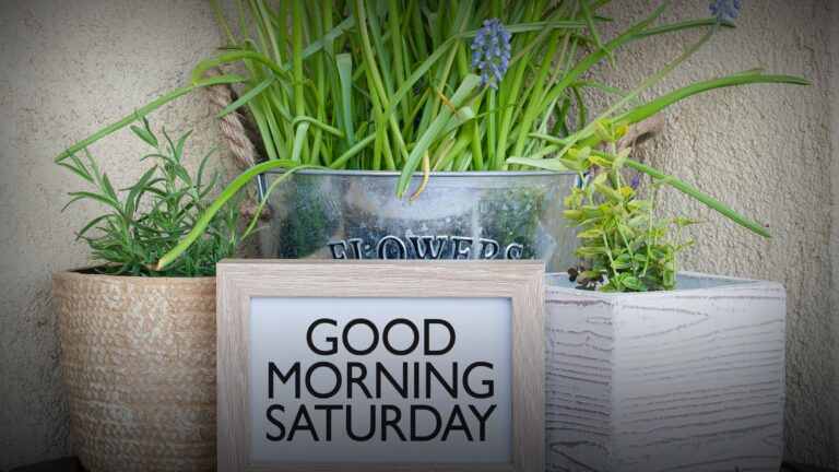 Good Morning Saturday Quotes: Start Your Weekend with Positivity and Inspiration