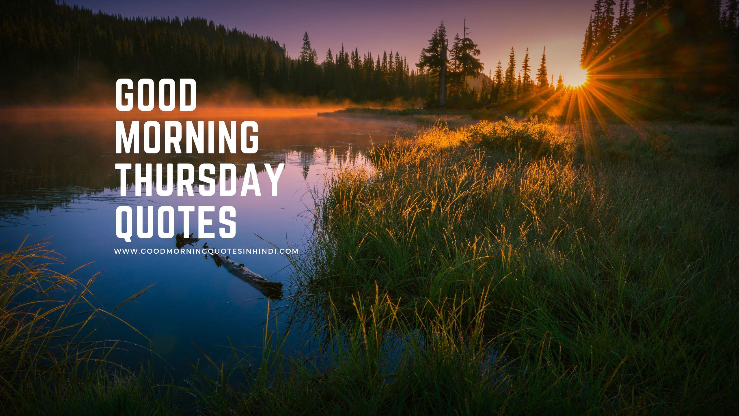 Good Morning Quotes for Thursday