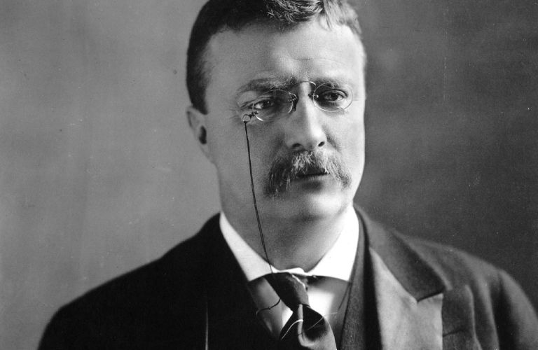 Theodore Roosevelts Quotes Theodore Roosevelts Quotes