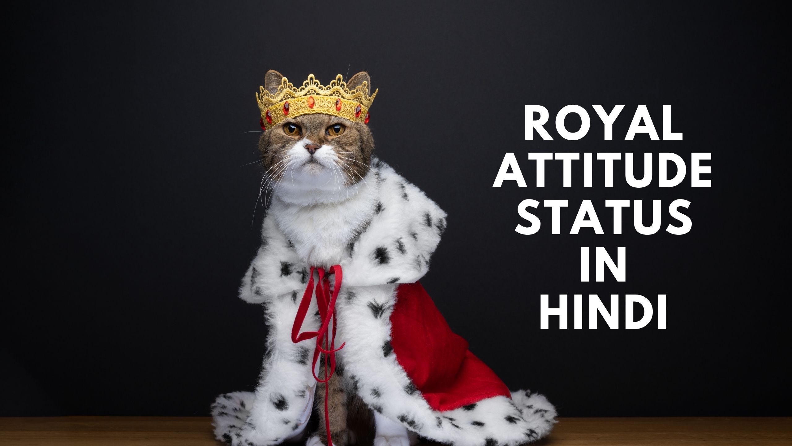 Royal Attitude Status In Hindi